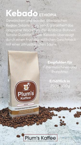 Ethiopia Kebado