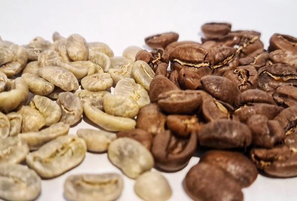 Mexico Rohkaffee Röstkaffee